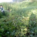 봉일천4리 이미지