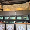 발바닥애견카페 이미지