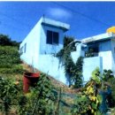 완도읍-10 이미지