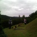 태능초가집갈비 이미지