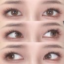 혜안디자인 - 금천구 디지털로 173 | 허니 브라운 원데이 렌즈 위드렌즈 혜안안경 렌즈 픽업 후기