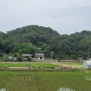 유림상사 | 풍산읍 매곡리 - 영양남씨, 봉암서원(鳳巖書院)1802년