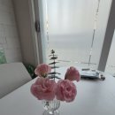 비치다 | 개인 스냅 촬영 후기 | 비치다 필름