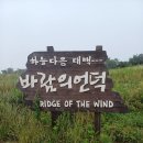 매봉산정상 이미지