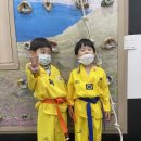 경희대부부태권도체육관 이미지