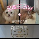 히포코코 이미지