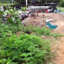 원스농장 이미지