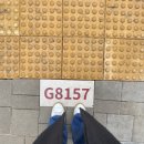 현구네 | 서울 필름 카메라 인화