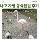 네오문 | 오키나와 중부 여행 아이와 함께 가볼만한 곳 나고자연동식물원 네오파크