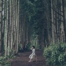 국내여행, 혼제주 여행일기 ②(+비밀의 숲 스냅♡/카페무늬/라비게스트하우스)
