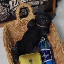 펫스타일 이미지