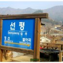 선평역 | 정선아리랑관광열차여행후기