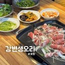 강변생오리 | [포항] 오천 "강변생오리" 손이 계속 가는 오리 샤브구이