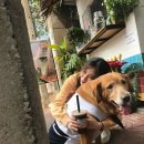 행복한머리 이미지