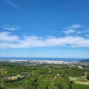 영창커즈와일A/S센타 네이버블로그