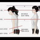 레몬트리짐 이미지