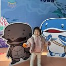 해양사 | 부산 동래구 아이랑 가볼만한 곳 : 부산해양자연사박물관 방문기 – 아이와 가족과 함께 바다와 자연을...