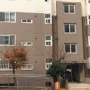 신세대지큐빌 이미지