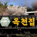 옥천집 | 마산 로봇랜드 맛집 구산면 한식집 옥천집 후기