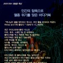 인간의 탐욕으로 멸종 위기를 맞은 바다거북(창세기 1장 10절) 이미지