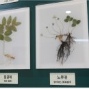 월평북로 이미지