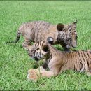 달성공원관리사무소 이미지