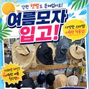 스쿨문구알파문구