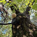 대진시외버스터미널 이미지