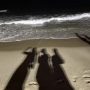 파라다이스펍 이미지