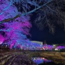 국토종주자전거길1-14 이미지