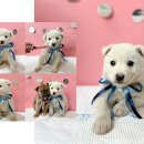 정천휴게소 이미지