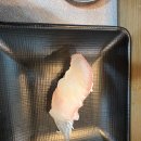 신데렐라 | 부산 여행 중 만난 맛집 | 모둠 회·한치 물회 솔직 후기