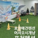 포천당구장 | 강아지와여행) 포천애견동반펜션 어서오시개냥 포천이동펜션 방문후기