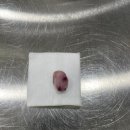 유기화동물의료센터 이미지