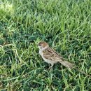 스테이 목월 이미지