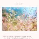 담대한 오늘 네이버블로그