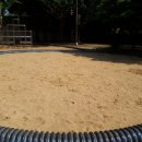 삼덕초등학교병설유치원 이미지