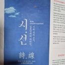 시와선 이미지
