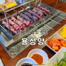 내천2길 16 맞은편 | 전주 양꼬치 맛집 한옥마을 인근 현지인 추천 용성양 내돈내산 솔직후기