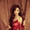 테마세이주 티브이데일리