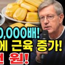 75세 이후 근육 증가: 이 과일에서 나온 단백질은 달걀보다 1,000,000배 더 좋습니다! | 노인을 위한 건강 팁 이미지