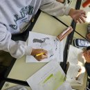 성라초등학교 이미지