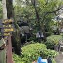 용인나무이야기 | [용인] 서울 근교 계곡 놀러가기! (용인나무이야기펜션 숙박, 내돈내산)