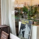 오로지(orogee) 이미지