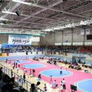 꿈나무태권도체육관 이미지