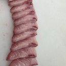 노량진수산시장 방어 맛집 가격 후기