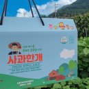 정선600농원