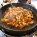 춘천유명닭갈비 Daum카페