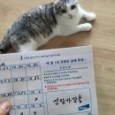 군산해동약국 네이버블로그