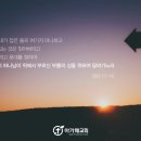 코디오주 이미지
